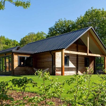 Cosy Wooden House Amid Woods In Soesterberg อูเทรคต์ ภายนอก รูปภาพ