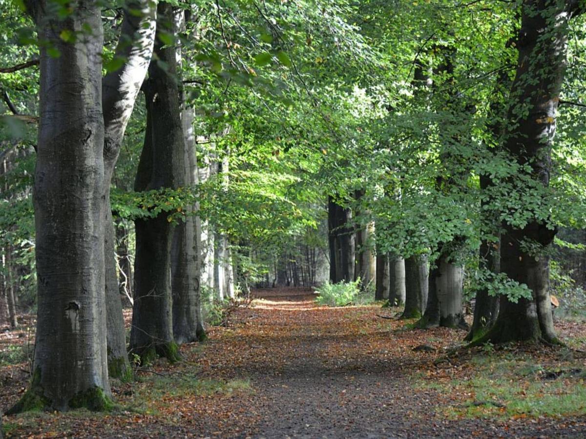 Cosy Wooden House Amid Woods In Soesterberg อูเทรคต์ ภายนอก รูปภาพ